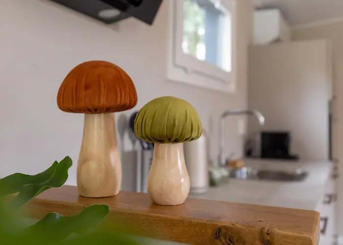 Holiday home De Bospaddenstoel 4-19