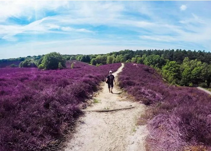 De Bospaddenstoel 4-19 Holiday home *