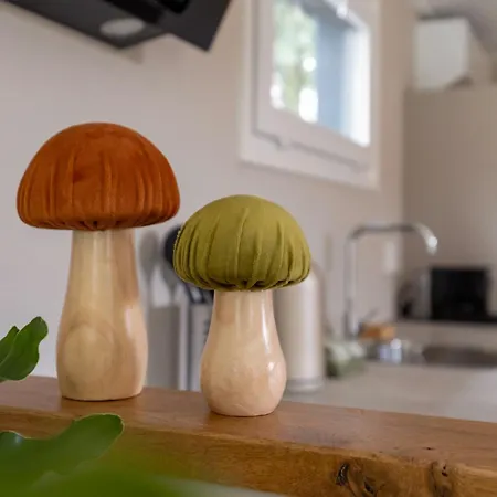 Дом отдыха De Bospaddenstoel 4-19