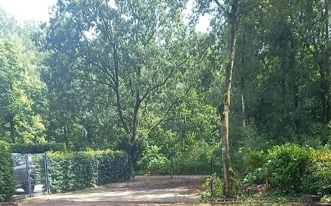 Casa de Férias De Bospaddenstoel 4-19 *